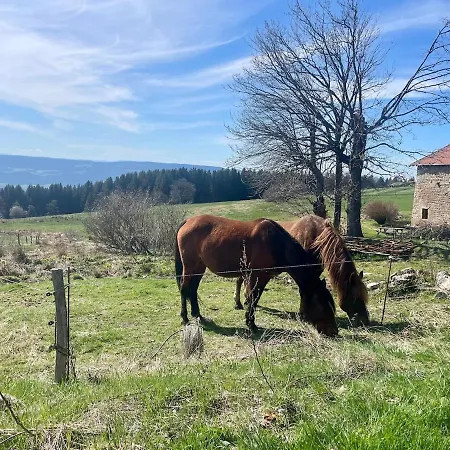 Alpstuga Petit Renove Grandrif